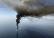 Florida's DEP offers a checkup for Deepwater cleanup efforts