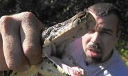 FWC offers training sessions for potential python hunters