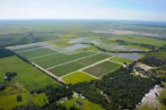 New solar planned in SW Florida